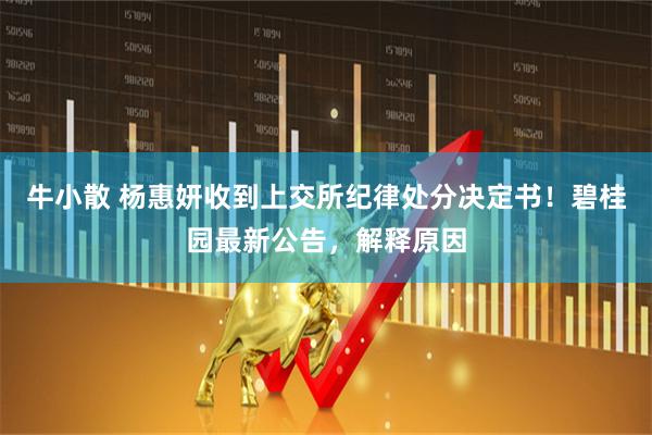 牛小散 杨惠妍收到上交所纪律处分决定书！碧桂园最新公告，解释原因